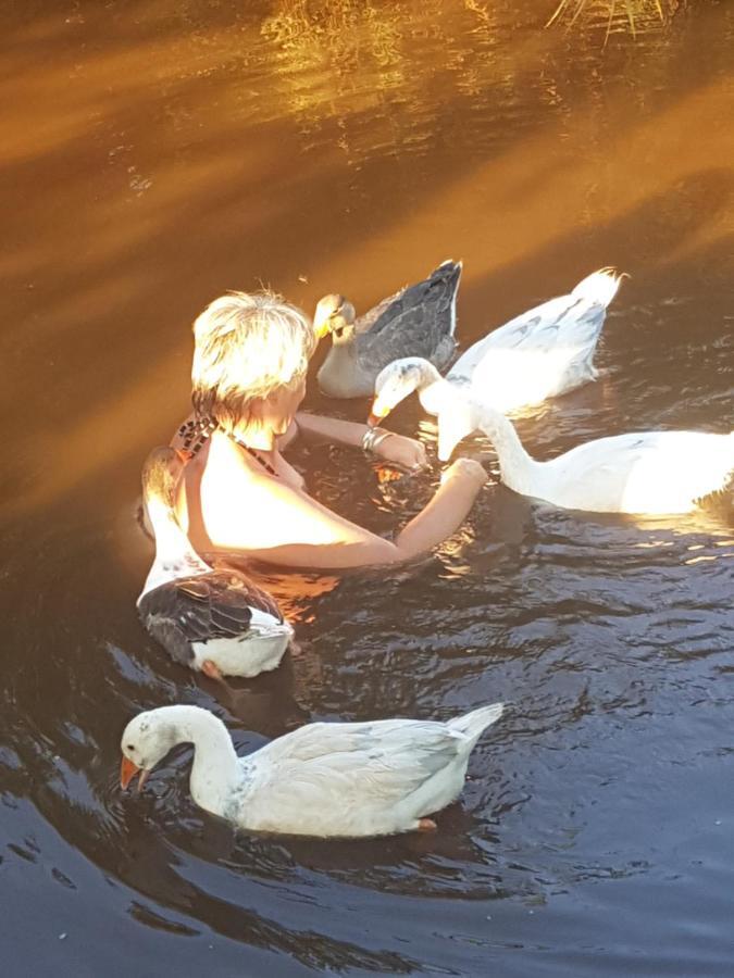 Thandamanzi Self Catering Sabie Zewnętrze zdjęcie
